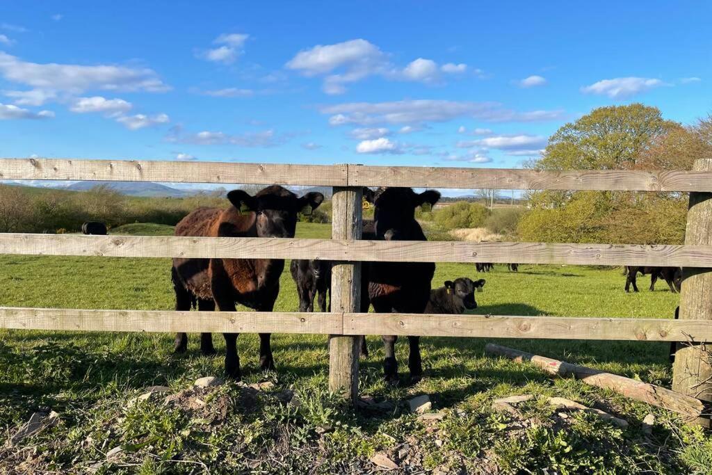 Galloway Farmstay Broughton Newton Stewart Εξωτερικό φωτογραφία