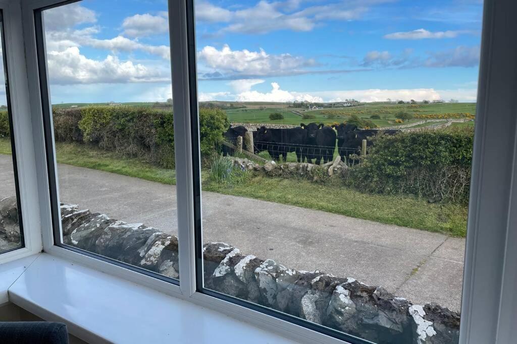 Galloway Farmstay Broughton Newton Stewart Εξωτερικό φωτογραφία